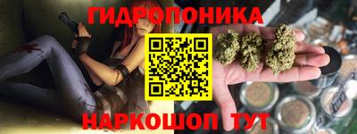 мяу мяу мука Краснознаменск