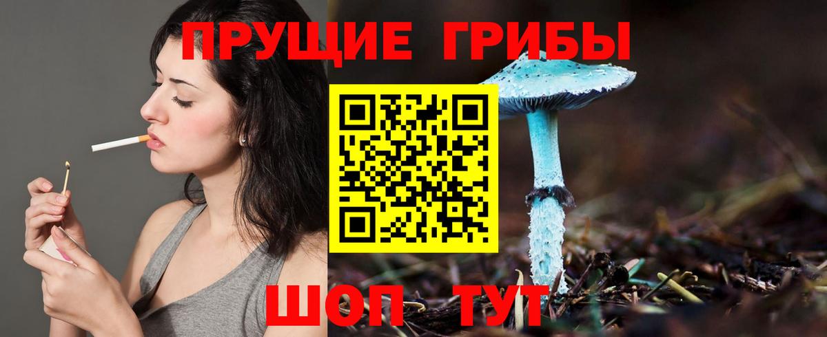 Псилоцибиновые грибы прущие грибы Касимов